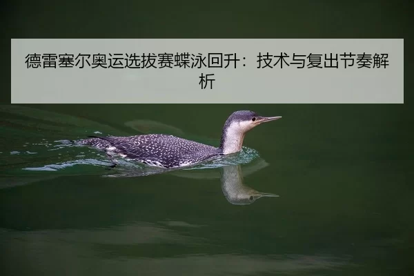 de-lei-sai-er-ao-yun-xuan-ba-sai-die-yong-hui-sheng-ji-shu-yu-fu-chu-jie-zou-jie-xi-1-155.jpg