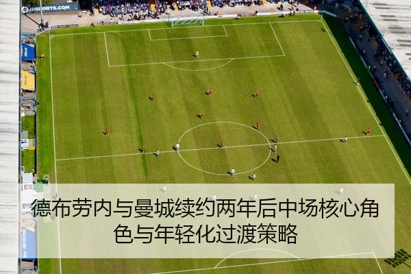 de-bu-lao-nei-yu-man-cheng-xu-yue-liang-nian-hou-zhong-chang-he-xin-jue-se-yu-nian-qing-hua-guo-du-ce-lve-1-119.jpg